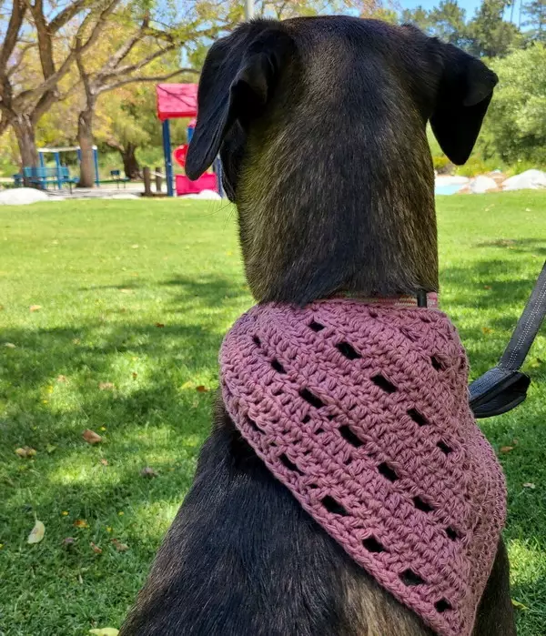 Crochet Dog Bandana Pattern