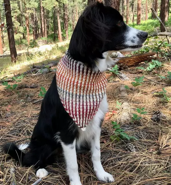Mountain Dog Bandana Crochet Pattern