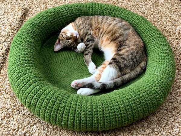 Kitty Bed