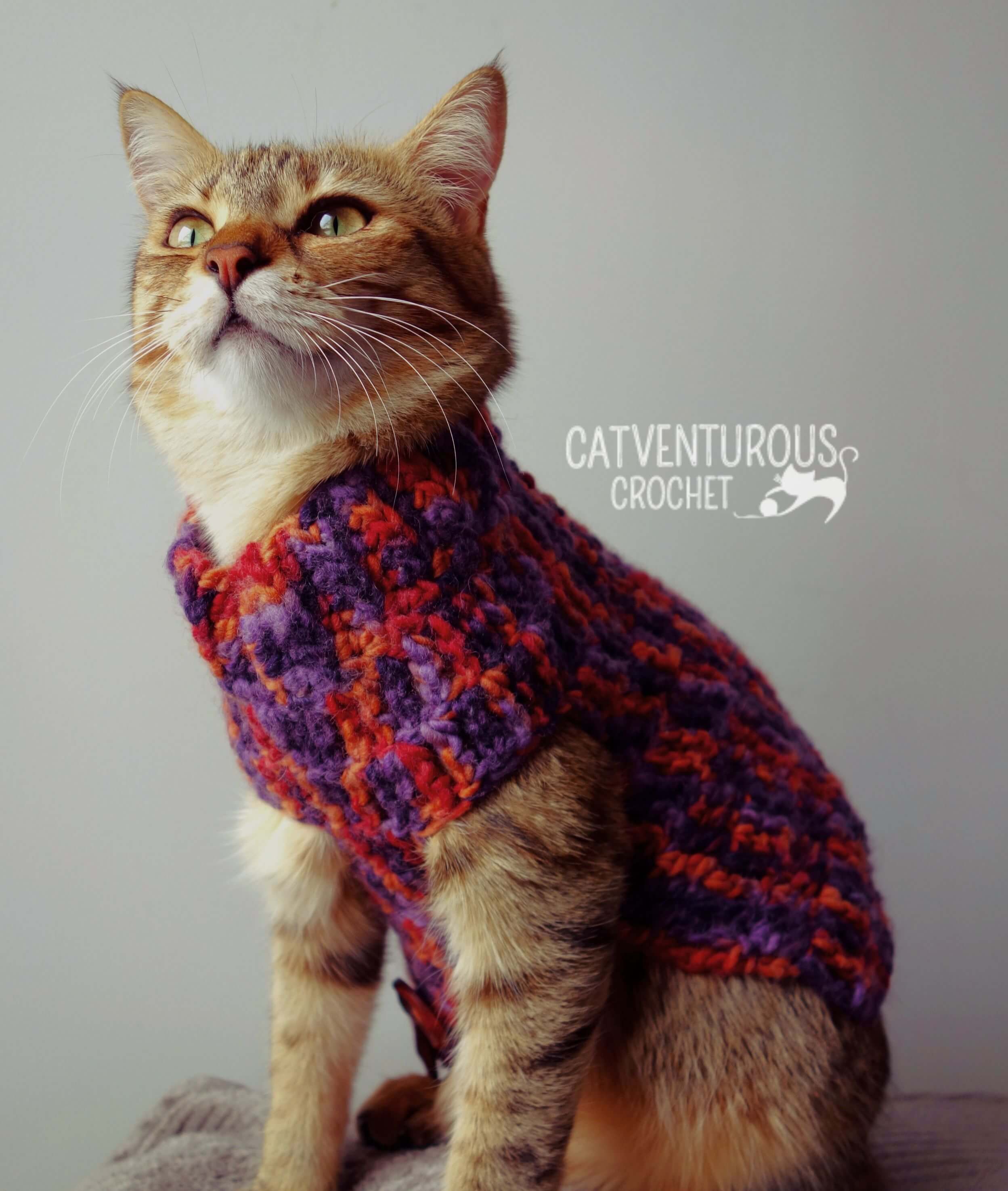 Shishi Button Up Cat Sweater