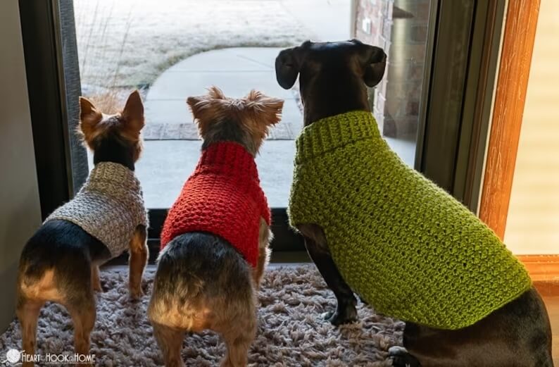 The Stylish Dog Sweater