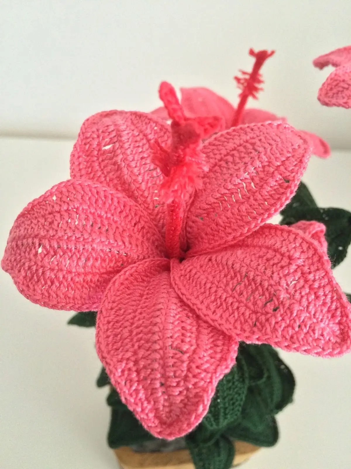 Hibiscus crochet pattern free