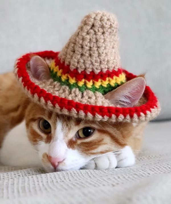 Crochet Cat Sombrero