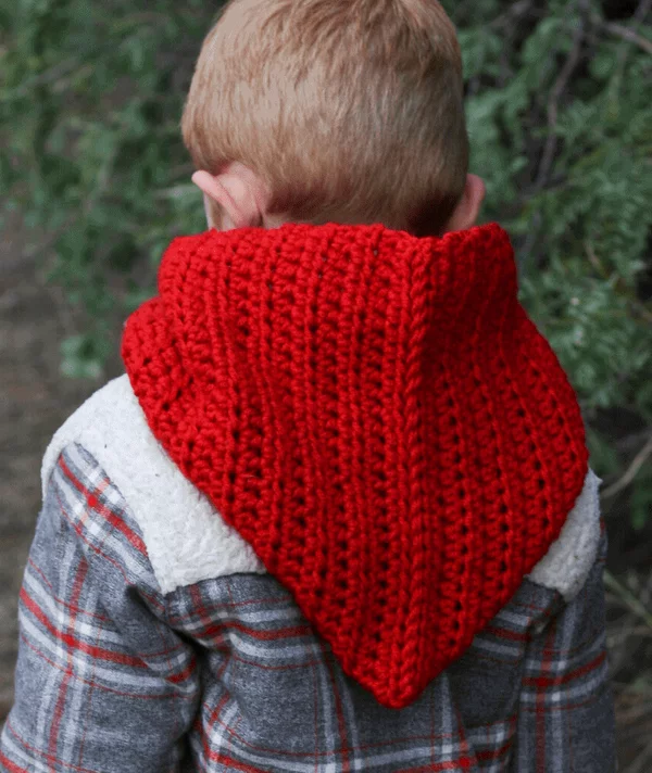 Windy Day Hooded Cowl