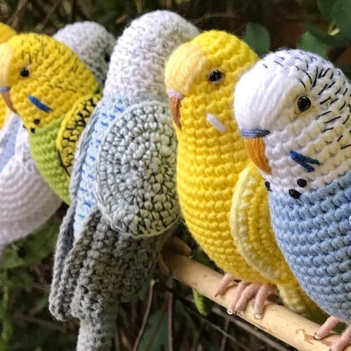 Customized Budgie Pets Crochet Personalizable Budgie Bird - Etsy