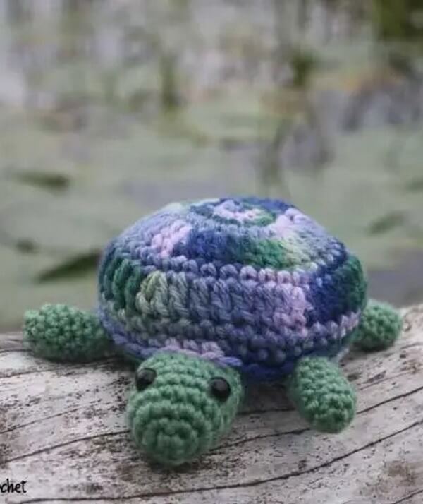 Tammy the Turtle