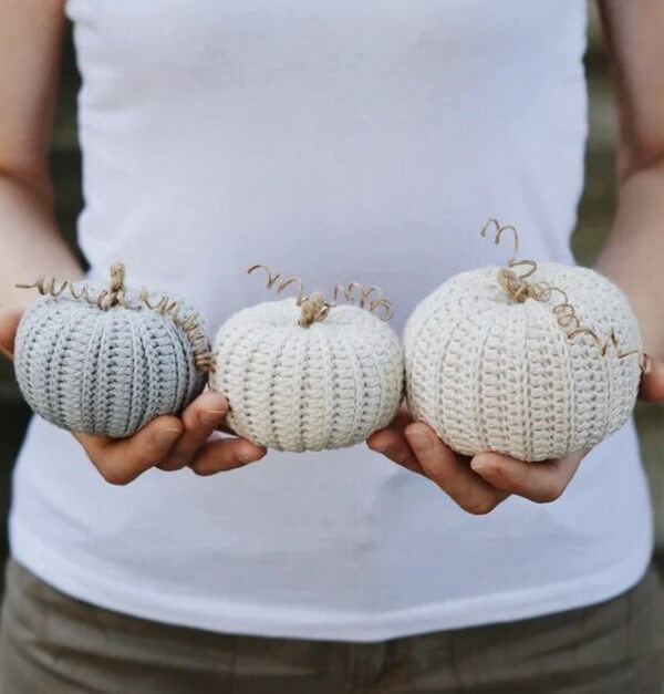 Three Rustic Pumpkins