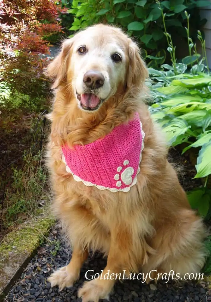 Dog Bandana