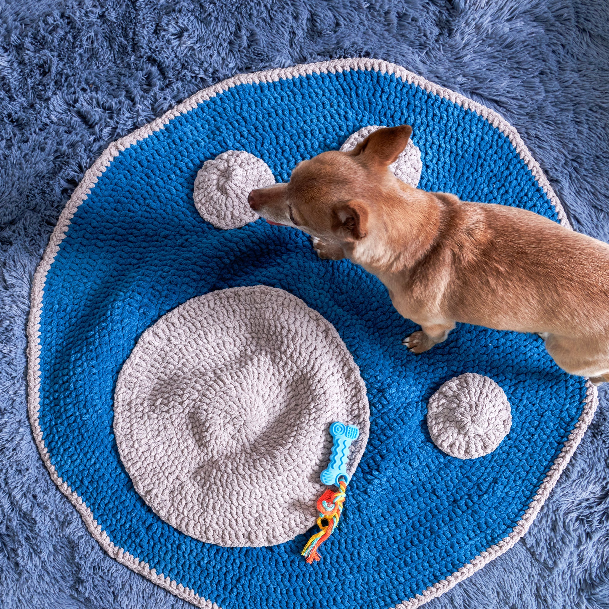 Paw Print Crochet Pet Rug