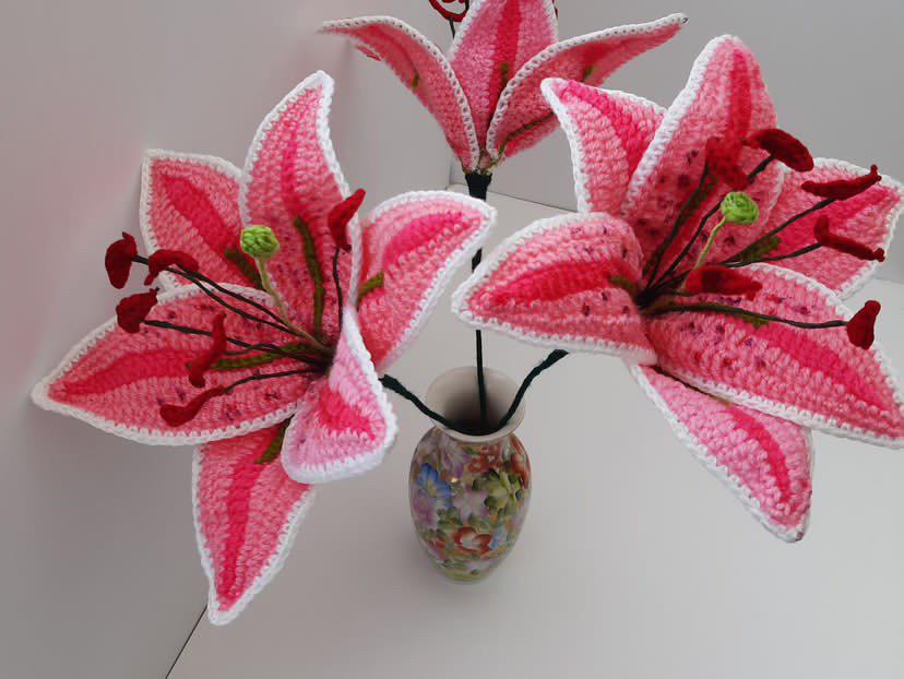 Stargazer Lily