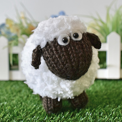 Baa Bara the Sheep