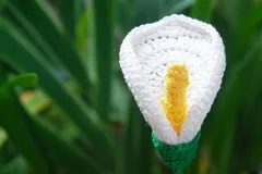 Calla Lily Free Crochet Pattern