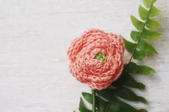 Ranunculus Flower Free Crochet Pattern