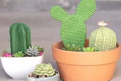 Crochet Succulents Free Pattern