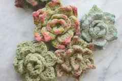 Succulents Free Crochet Pattern