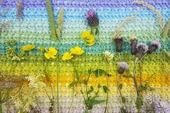 Meadow Blanket CAL Free Crochet Patterns