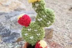 Flowering Prickly Pear Cactus Free Crochet Pattern