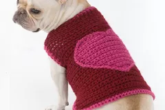 Crochet Romantic Dog Sweater Pattern By Crochet Space