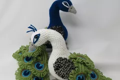 Regal the Peacock