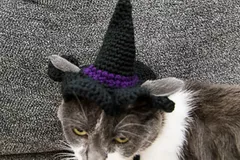 Cat Crochet Witch Hat Pattern