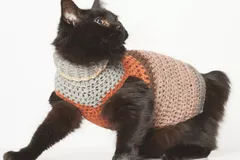 Small Pet Stripy Sweater Crochet Pattern