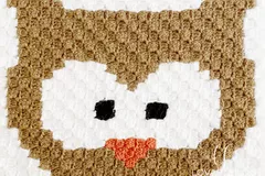 C2c Owl Free Crochet Pattern