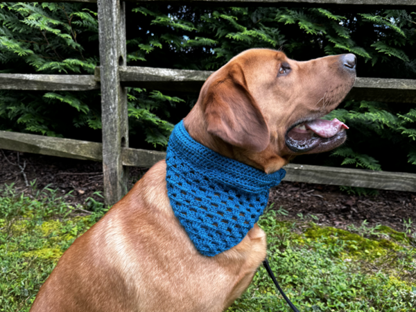 Safety Pet Bandana