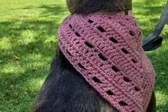 Crochet Dog Bandana Pattern