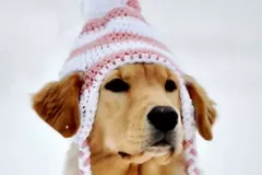 Crochet Doggie Hat Pattern