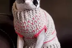 Lovey Cat Sweater Crochet Pattern