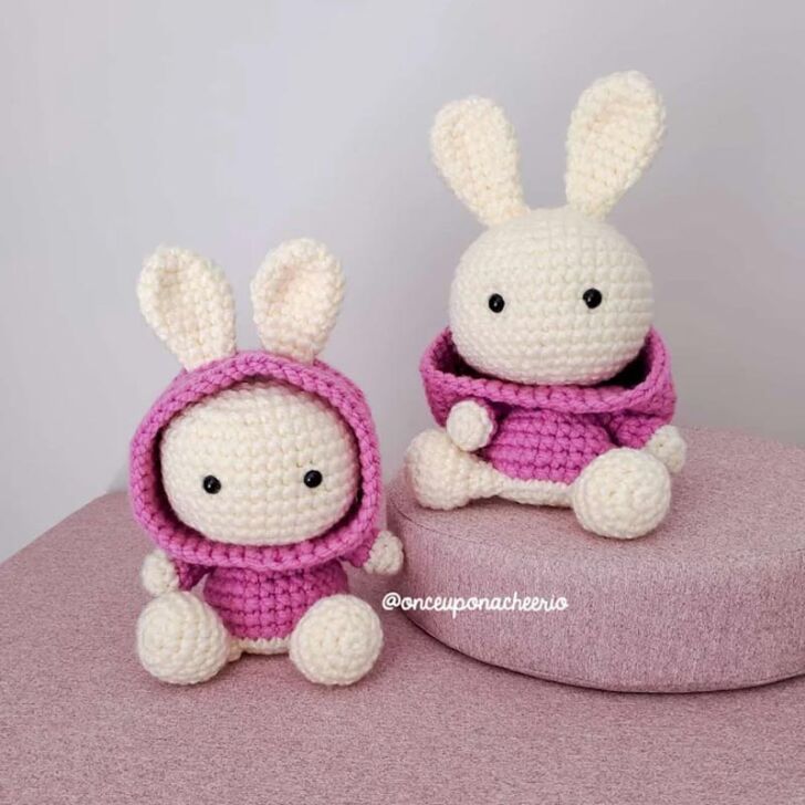 Amigurumi Bunny In The Hood