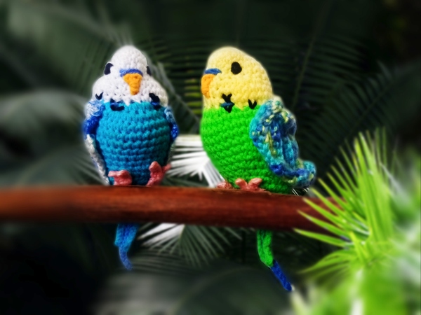 Budgie Parrot. Crochet pattern
