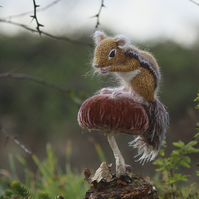 Chipmunk