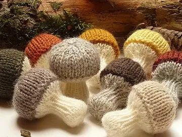 Forest Mushrooms