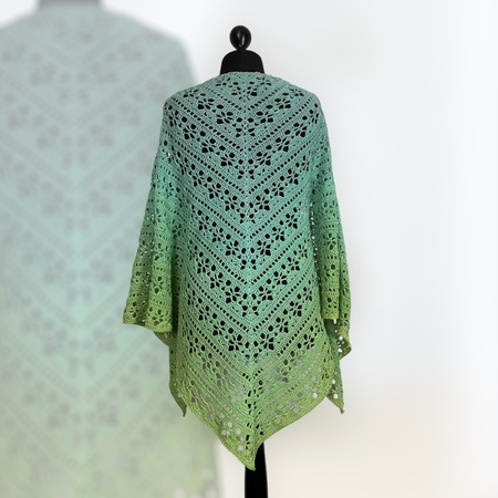 Minai Shawl