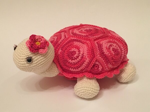 Pattern Turtle Paulina
