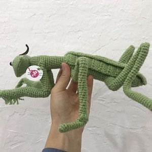 Praying Mantis