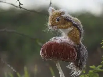 Chipmunk