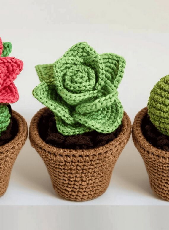 Realistic Potted Succulent Crochet Patterns Collection