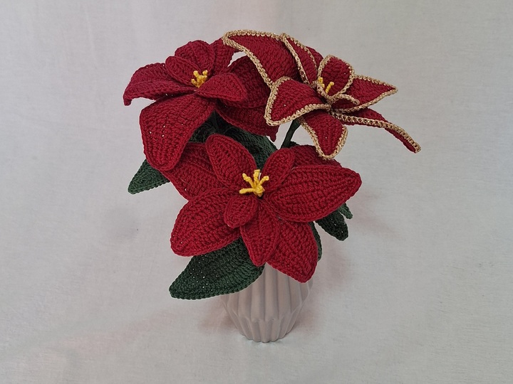 Poinsettia 2.0 Pattern