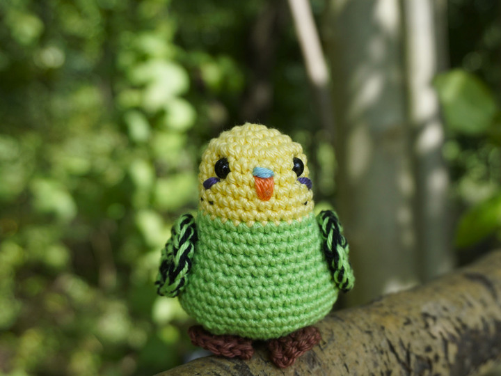 Crochet Pattern Budgie Baby Kiwi!