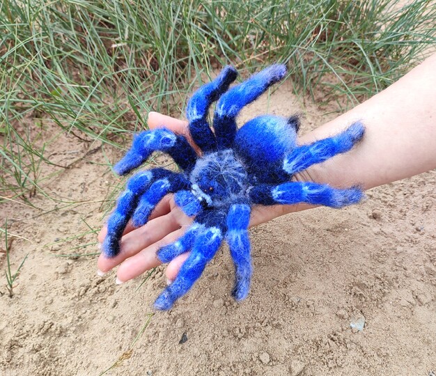 Crocheted Tarantula Amigurumi Spider Crochet PDF pattern