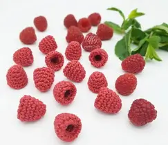 The Perfect Raspberry 2 Sizes