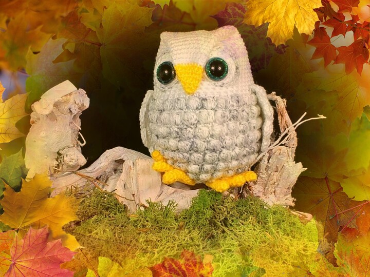 Crochet Pattern Elli The Googly-eyed Owl