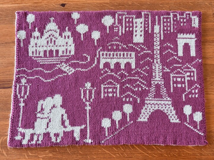 Double Knitting Pattern Placemat Paris