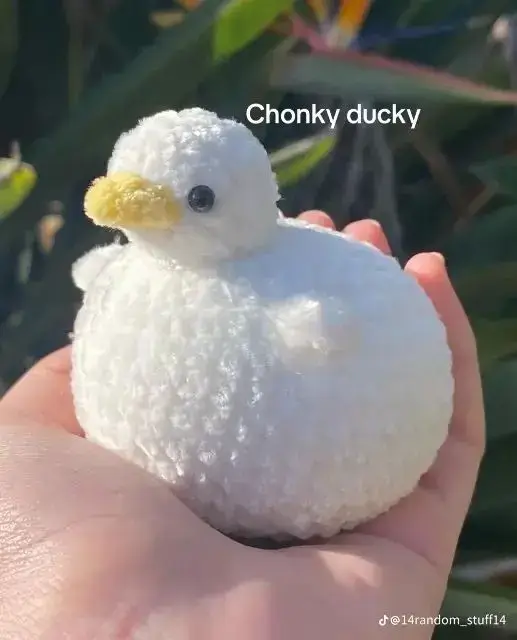 Crochet Round Duck