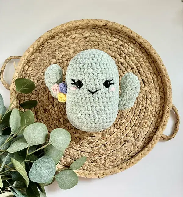 Free Crochet Plush Cactus Pattern