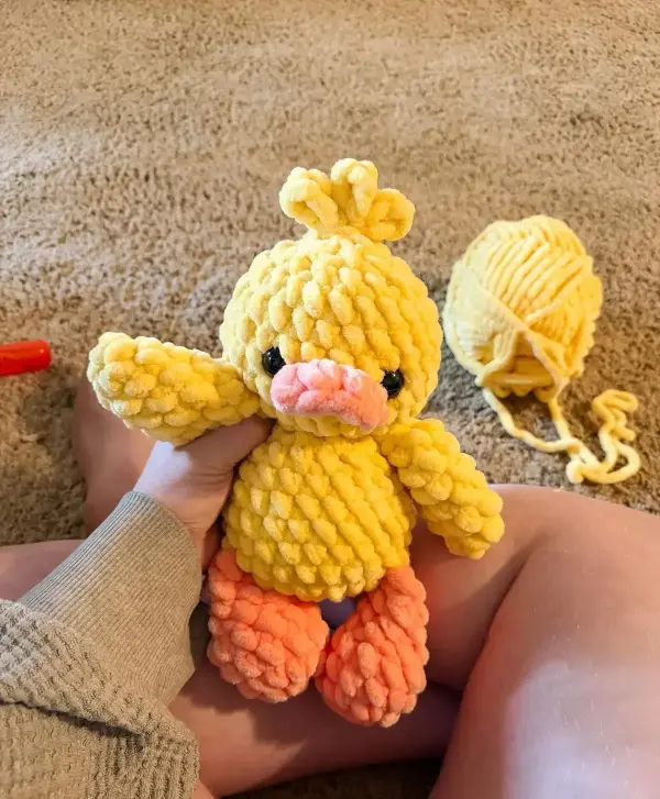 Puddles the duck
