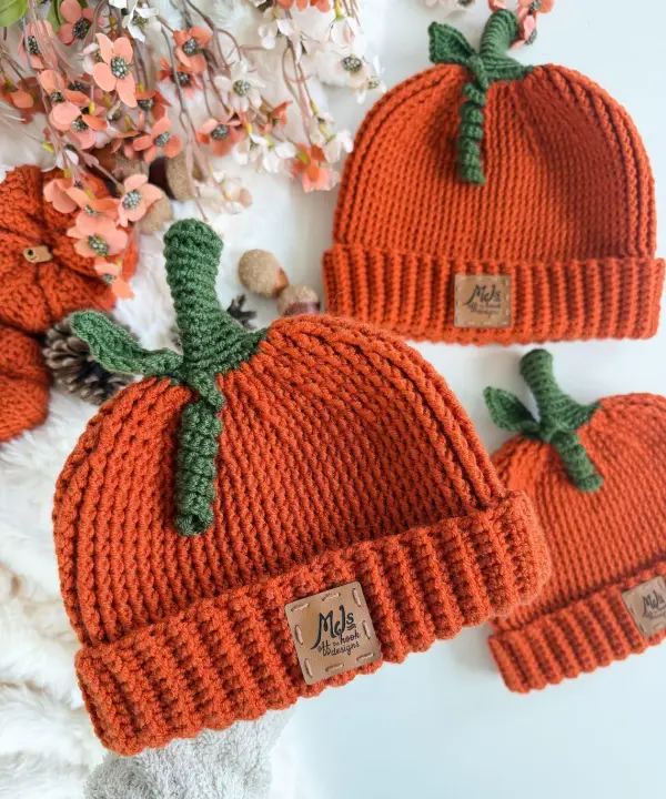 The Pumpkin Patch Hat